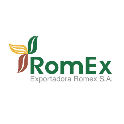 logoweb_romexjpg.jpg