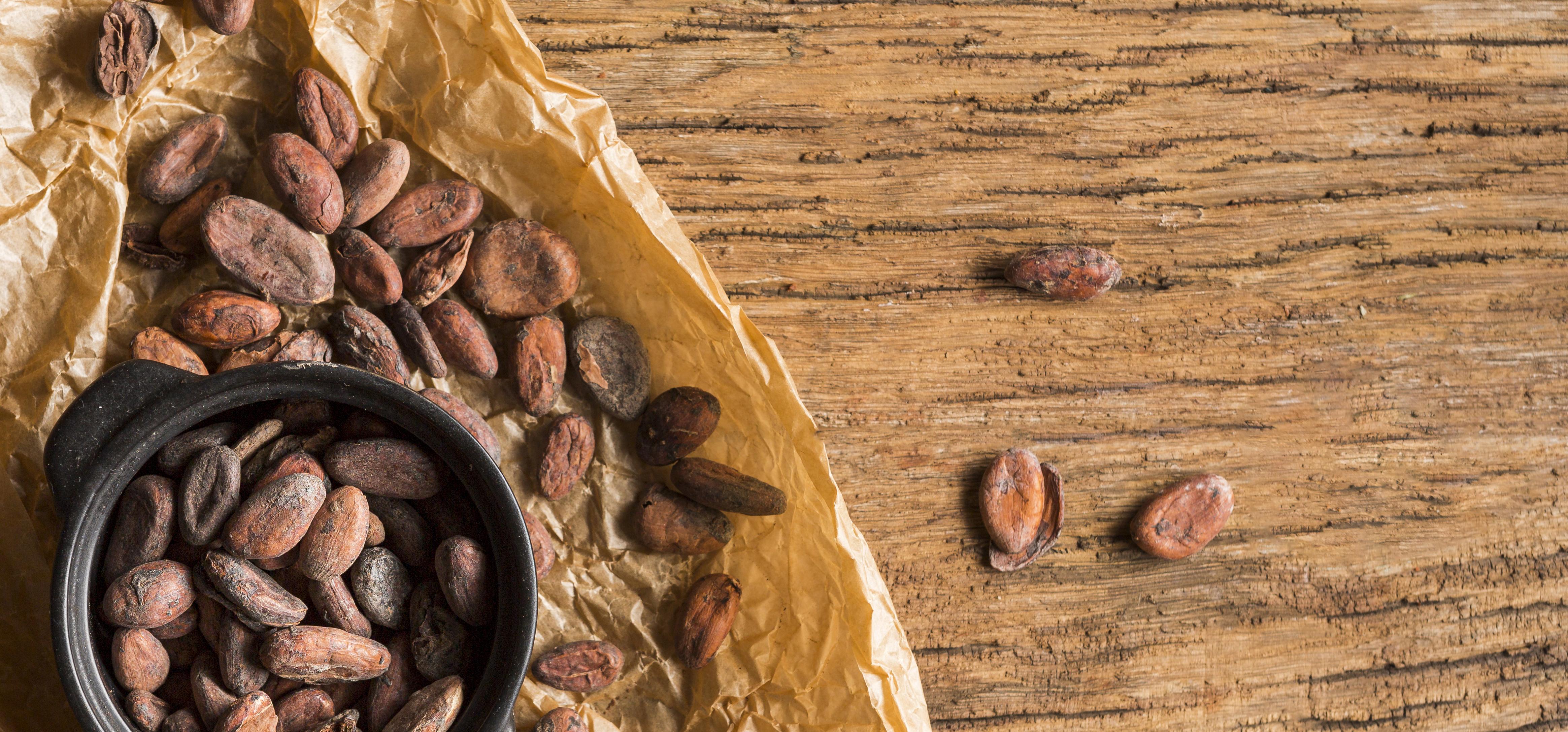flat-lay-cocoa-beans-in-pot.jpg